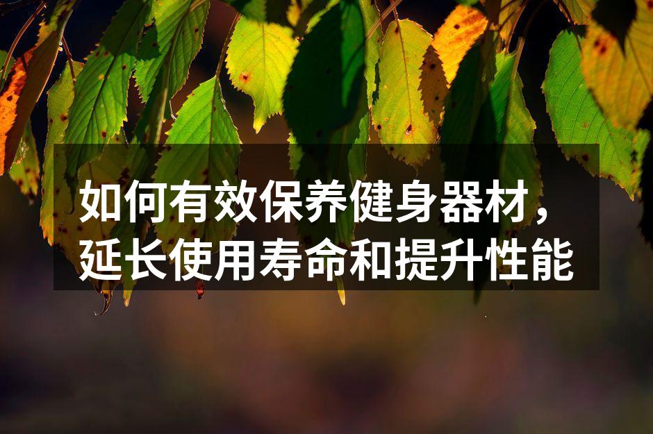 如何有效保养健身器材，延长使用寿命和提升性能