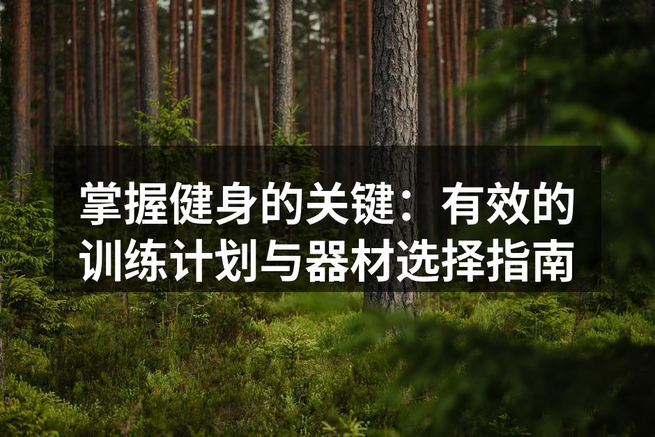 掌握健身的关键：有效的训练计划与器材选择指南