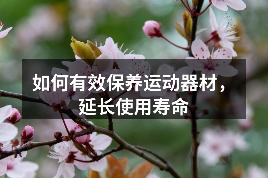 如何有效保养运动器材，延长使用寿命